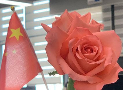 Šťastný březen 8th Den žen